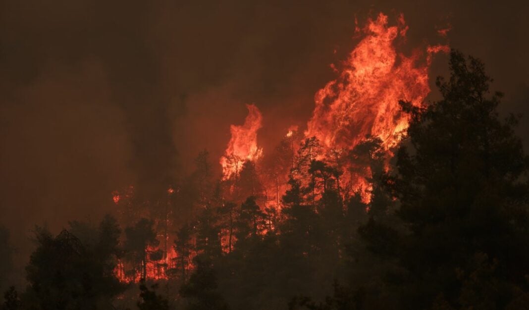 Φωτιά στην Εύβοια: Τουλάχιστον 349 άτομα απεγκλωβίστηκαν ...