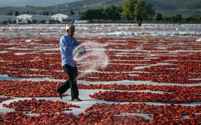  Οι Τούρκοι μάς στέλνουν θάνατο: Τίγκα σε φυτοφάρμακα, παθογόνα και μυκοτοξίνες τα διατροφικά «σκουπίδια» τους!